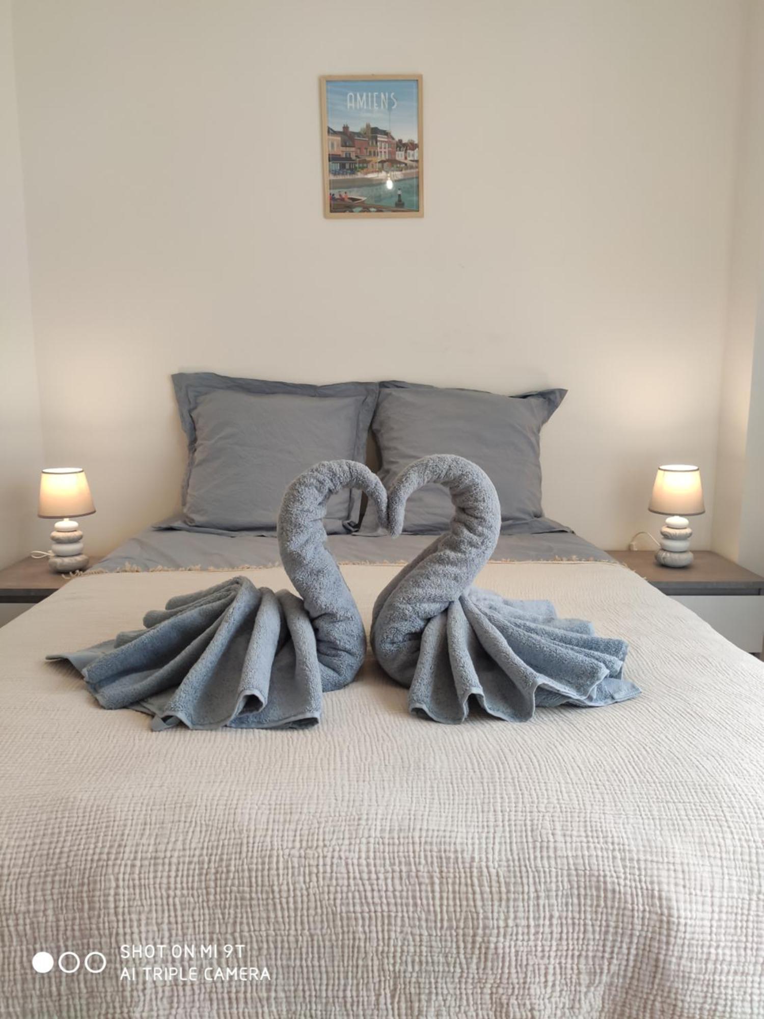 Apartamento Sublime T2 Lumineux Avec Balcon - Rue Gratuite Amiens Exterior foto